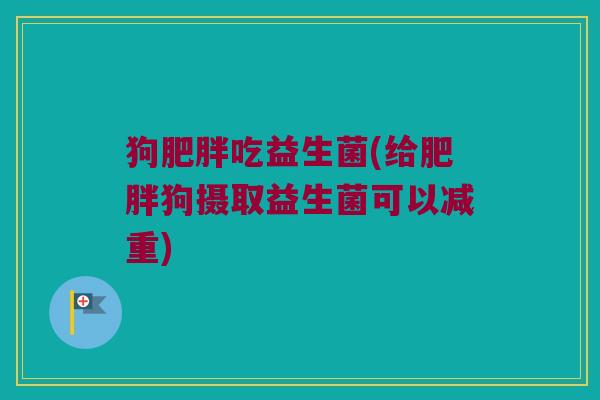 狗肥胖吃益生菌(给肥胖狗摄取益生菌可以减重)