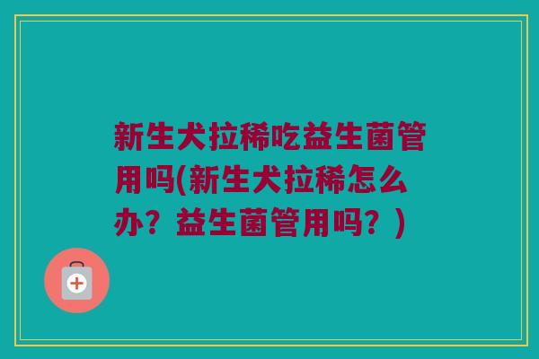 新生犬拉稀吃益生菌管用吗(新生犬拉稀怎么办？益生菌管用吗？)