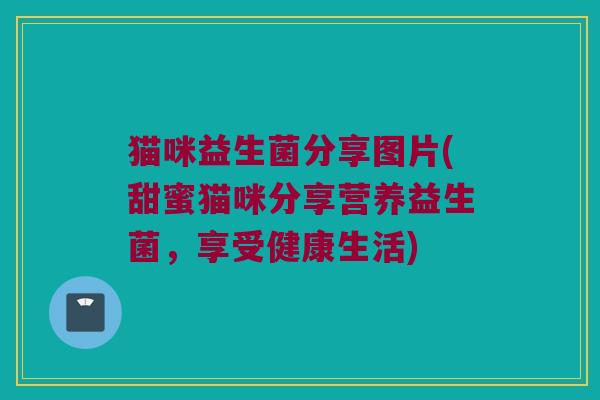 猫咪益生菌分享图片(甜蜜猫咪分享营养益生菌，享受健康生活)