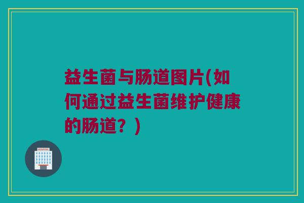 益生菌与肠道图片(如何通过益生菌维护健康的肠道?) 益生菌与肠道图片(如何通过益生菌维护健康的肠道?)