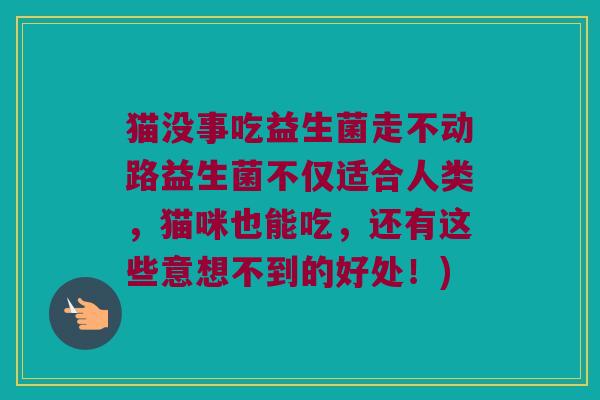 猫没事吃益生菌走不动路益生菌不仅适合人类，猫咪也能吃，还有这些意想不到的好处！)