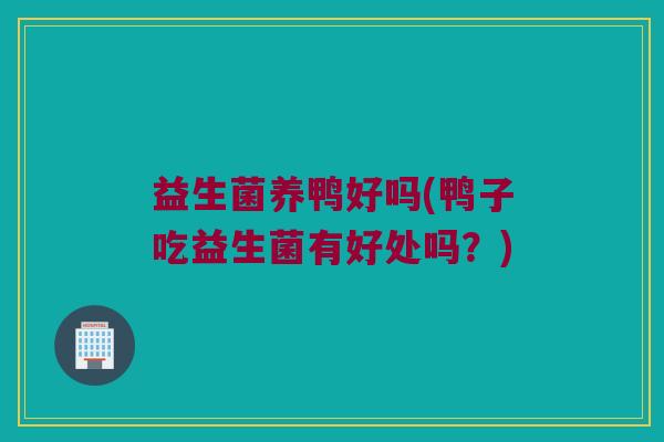 益生菌养鸭好吗(鸭子吃益生菌有好处吗？)