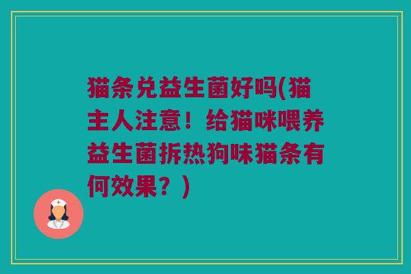 猫条兑益生菌好吗(猫主人注意！给猫咪喂养益生菌拆热狗味猫条有何效果？)