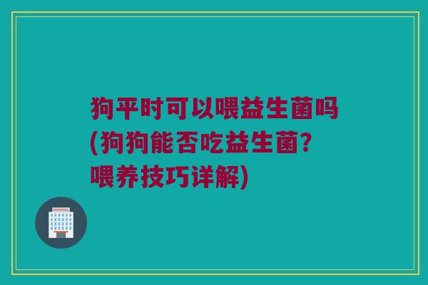 狗平时可以喂益生菌吗(狗狗能否吃益生菌？喂养技巧详解)