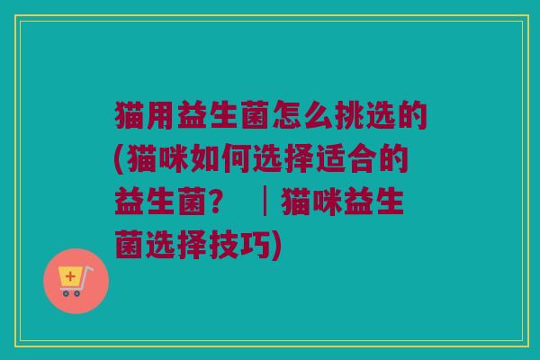 猫用益生菌怎么挑选的(猫咪如何选择适合的益生菌？ │猫咪益生菌选择技巧)