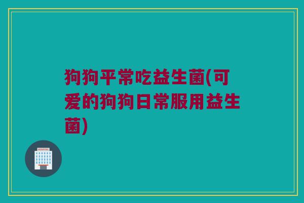 狗狗平常吃益生菌(可爱的狗狗日常服用益生菌)