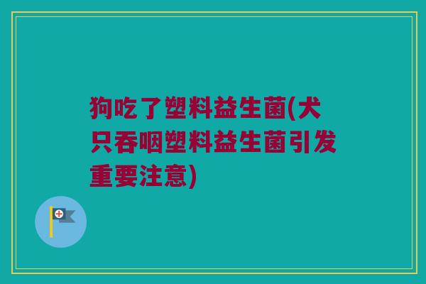 狗吃了塑料益生菌(犬只吞咽塑料益生菌引发重要注意)