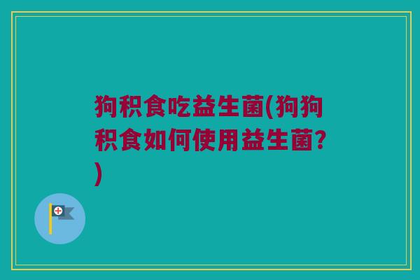 狗积食吃益生菌(狗狗积食如何使用益生菌？)