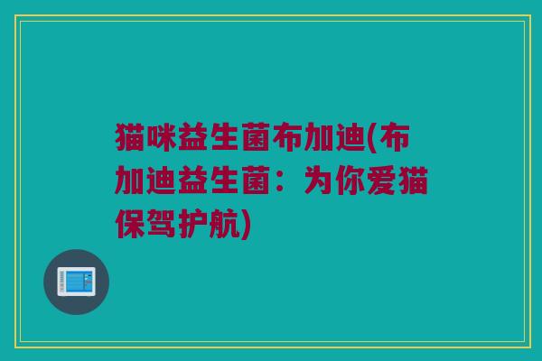 猫咪益生菌布加迪(布加迪益生菌：为你爱猫保驾护航)