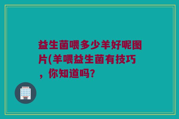 益生菌喂多少羊好呢图片(羊喂益生菌有技巧,你知道吗? 益生菌喂多少羊好呢图片(羊喂益生菌有技巧,你知道吗?