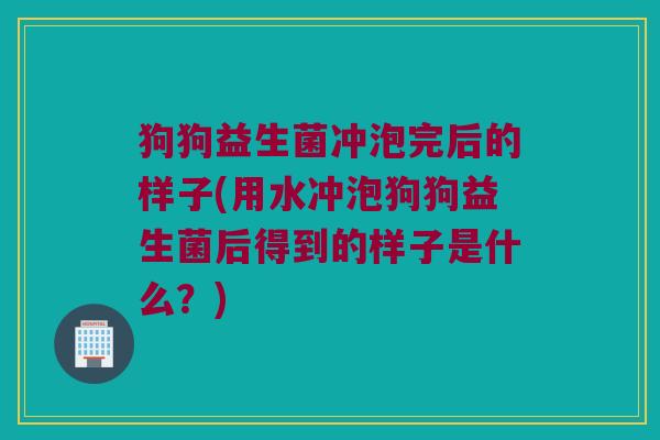 狗狗益生菌冲泡完后的样子(用水冲泡狗狗益生菌后得到的样子是什么？)