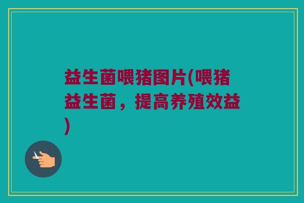 益生菌喂猪图片(喂猪益生菌，提高养殖效益)