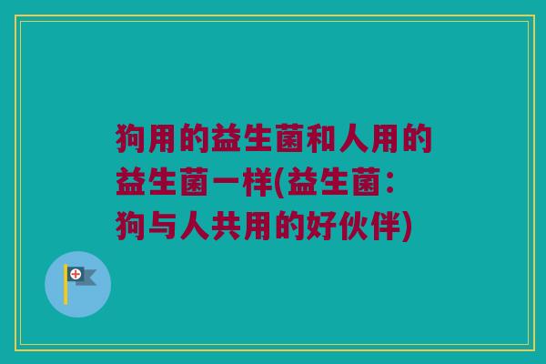 狗用的益生菌和人用的益生菌一样(益生菌：狗与人共用的好伙伴)