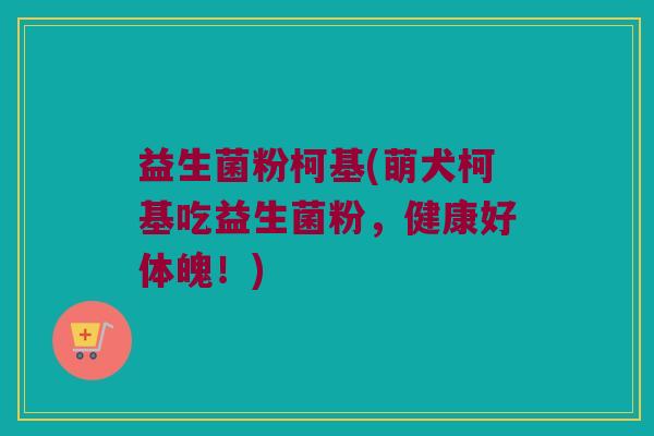 益生菌粉柯基(萌犬柯基吃益生菌粉，健康好体魄！)