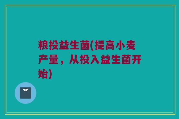 粮投益生菌(提高小麦产量，从投入益生菌开始)