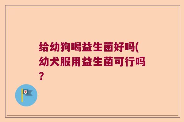 给幼狗喝益生菌好吗(幼犬服用益生菌可行吗？