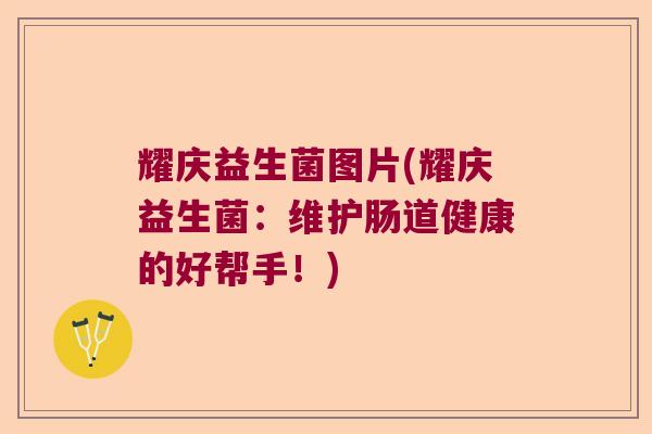 耀庆益生菌图片(耀庆益生菌：维护肠道健康的好帮手！)