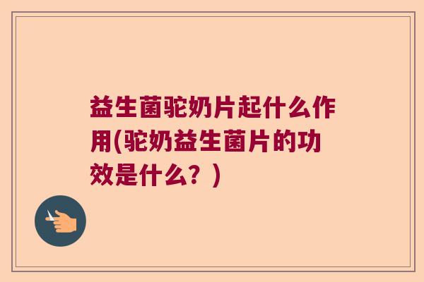 益生菌驼奶片起什么作用(驼奶益生菌片的功效是什么？)