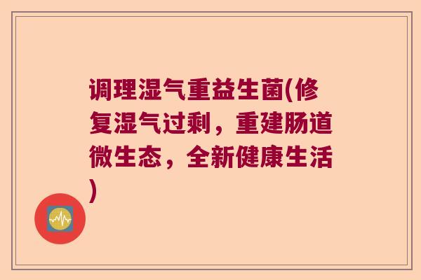 调理湿气重益生菌(修复湿气过剩，重建肠道微生态，全新健康生活)