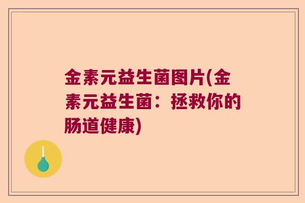 金素元益生菌图片(金素元益生菌:拯救你的肠道健康) 金素元益生菌图片(金素元益生菌:拯救你的肠道健康)