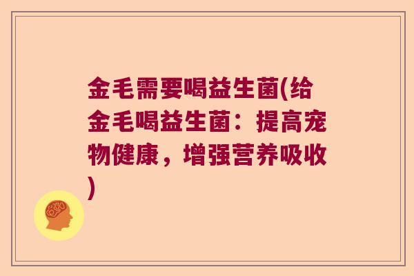 金毛需要喝益生菌(给金毛喝益生菌：提高宠物健康，增强营养吸收)