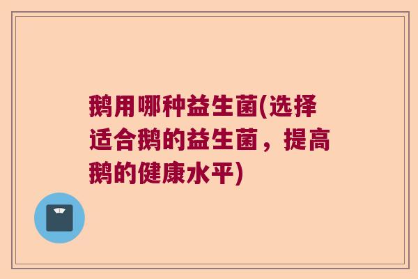 鹅用哪种益生菌(选择适合鹅的益生菌，提高鹅的健康水平)