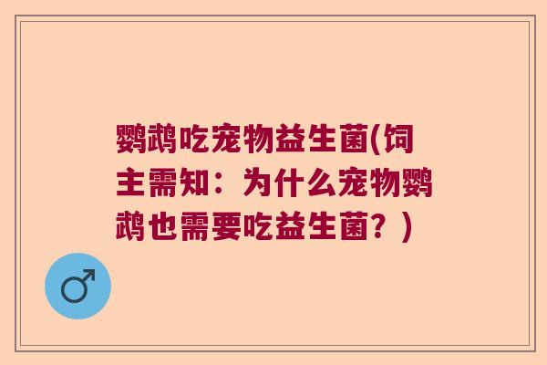 鹦鹉吃宠物益生菌(饲主需知:为什么宠物鹦鹉也需要吃益生菌?) 鹦鹉吃宠物益生菌(饲主需知:为什么宠物鹦鹉也需要吃益生菌?)