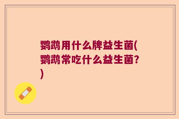 鹦鹉用什么牌益生菌(鹦鹉常吃什么益生菌？)