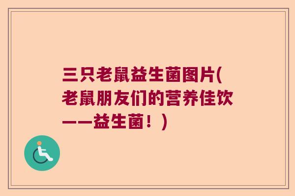 三只老鼠益生菌图片(老鼠朋友们的营养佳饮——益生菌！)