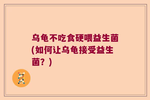 乌龟不吃食硬喂益生菌(如何让乌龟接受益生菌？)