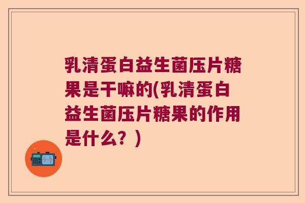 乳清蛋白益生菌压片糖果是干嘛的(乳清蛋白益生菌压片糖果的作用是什么？)