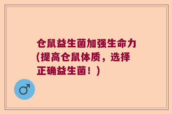仓鼠益生菌加强生命力(提高仓鼠体质，选择正确益生菌！)