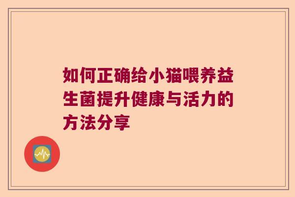 如何正确给小猫喂养益生菌提升健康与活力的方法分享