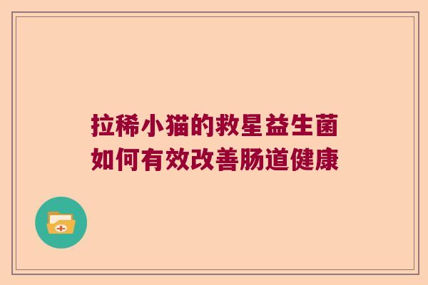拉稀小猫的救星益生菌如何有效改善肠道健康
