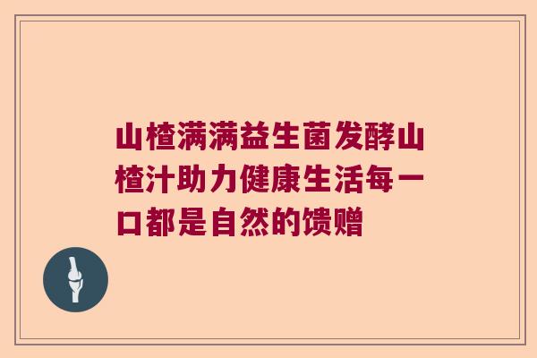 山楂满满益生菌发酵山楂汁助力健康生活每一口都是自然的馈赠