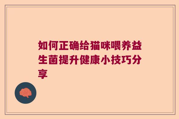如何正确给猫咪喂养益生菌提升健康小技巧分享 如何正确给猫咪喂养益生菌提升健康小技巧分享