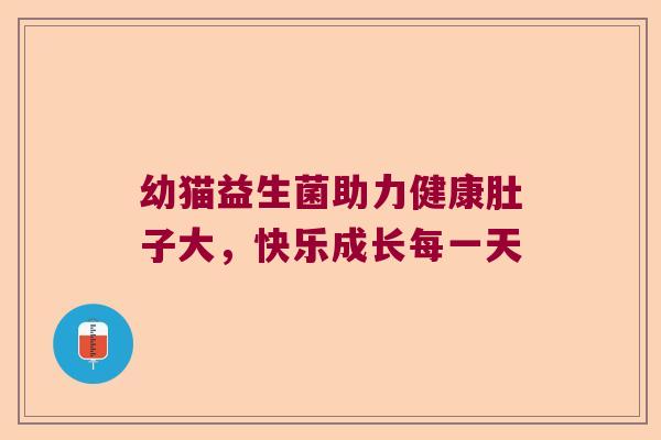 幼猫益生菌助力健康肚子大，快乐成长每一天