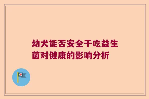 幼犬能否安全干吃益生菌对健康的影响分析