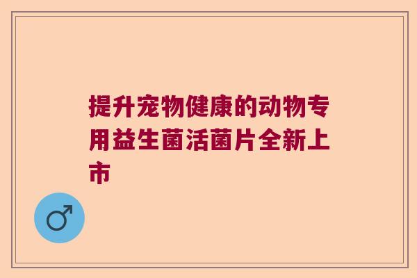 提升宠物健康的动物专用益生菌活菌片全新上市