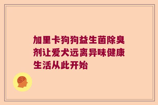 加里卡狗狗益生菌除臭剂让爱犬远离异味健康生活从此开始