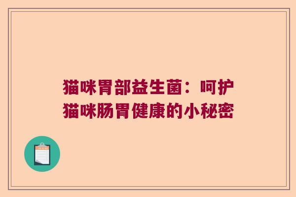 猫咪胃部益生菌：呵护猫咪肠胃健康的小秘密