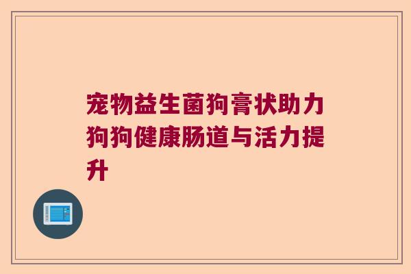 宠物益生菌狗膏状助力狗狗健康肠道与活力提升