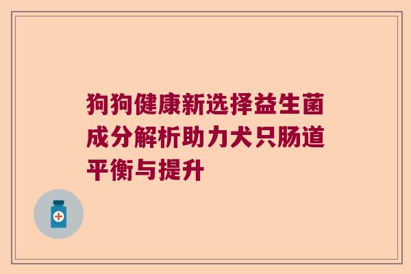 狗狗健康新选择益生菌成分解析助力犬只肠道平衡与提升