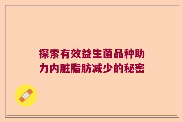 探索有效益生菌品种助力内脏脂肪减少的秘密