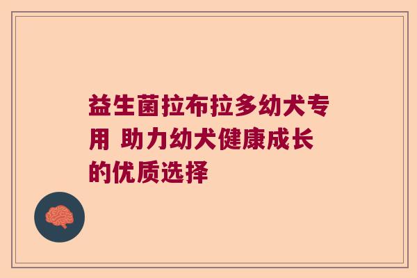 益生菌拉布拉多幼犬专用 助力幼犬健康成长的优质选择 益生菌拉布拉多幼犬专用 助力幼犬健康成长的优质选择