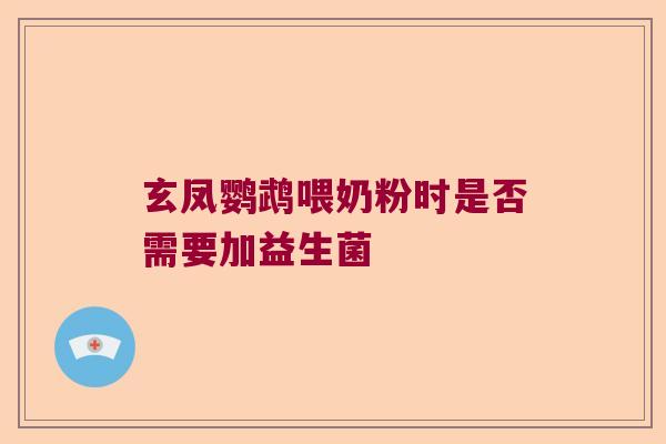 玄凤鹦鹉喂奶粉时是否需要加益生菌