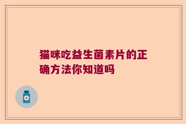 猫咪吃益生菌素片的正确方法你知道吗