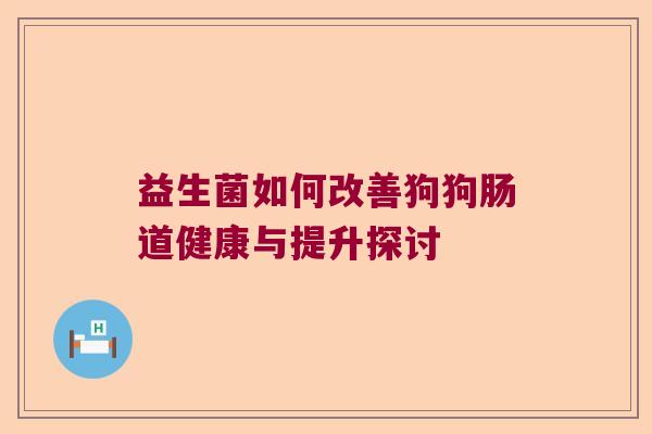 益生菌如何改善狗狗肠道健康与提升探讨 益生菌如何改善狗狗肠道健康与提升探讨