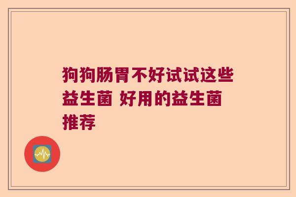 狗狗肠胃不好试试这些益生菌 好用的益生菌推荐