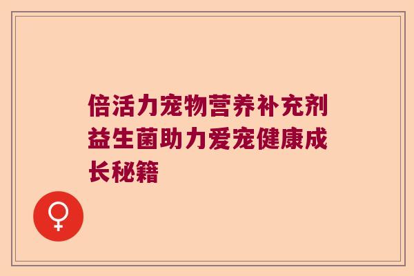 倍活力宠物营养补充剂益生菌助力爱宠健康成长秘籍